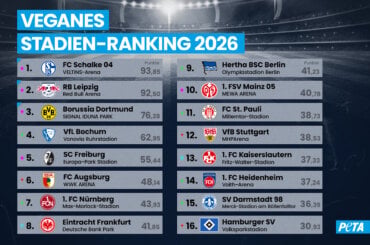 Stadienranking 2026 1-16