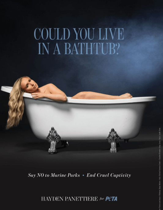 Schauspielerin Hayden Panattiere liegt in einer Badewanne und fragt: Could you live in a bathtub?