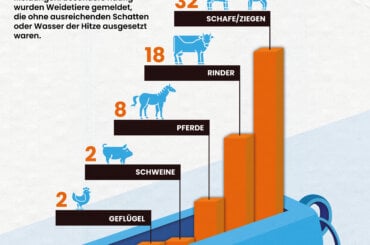 Hitzestatistik 2026 auf Weiden