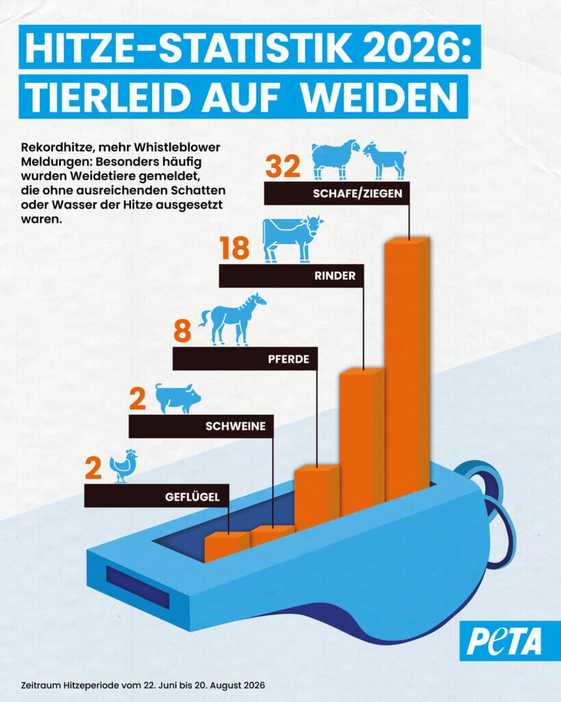 Hitzestatistik 2026 auf Weiden