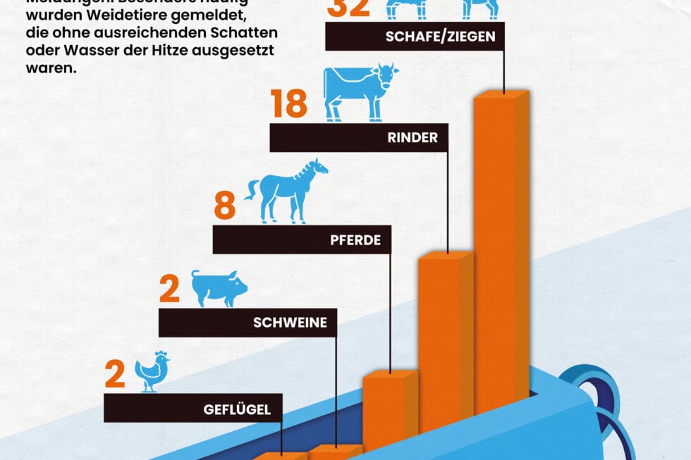 Hitzestatistik 2026 auf Weiden