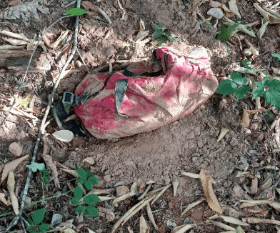 Eine rote Tasche mit einem toten Hund drin