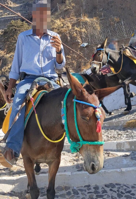 Eseltaxi auf Santorini