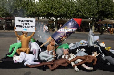 Aktivisten gegen Feuerwerk in Kassel